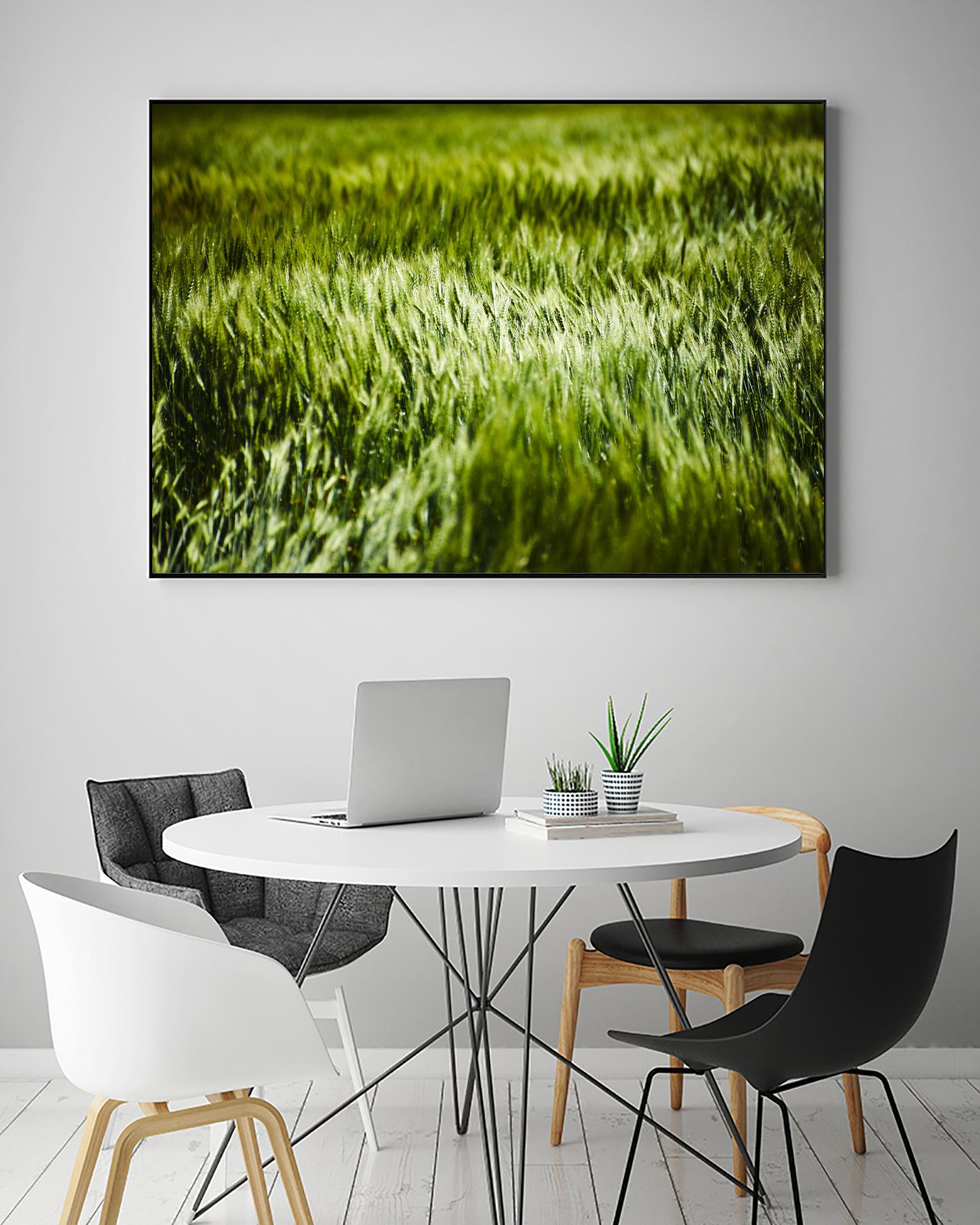 Grass IV by Peter Morneau on GIANT ART - green photo art