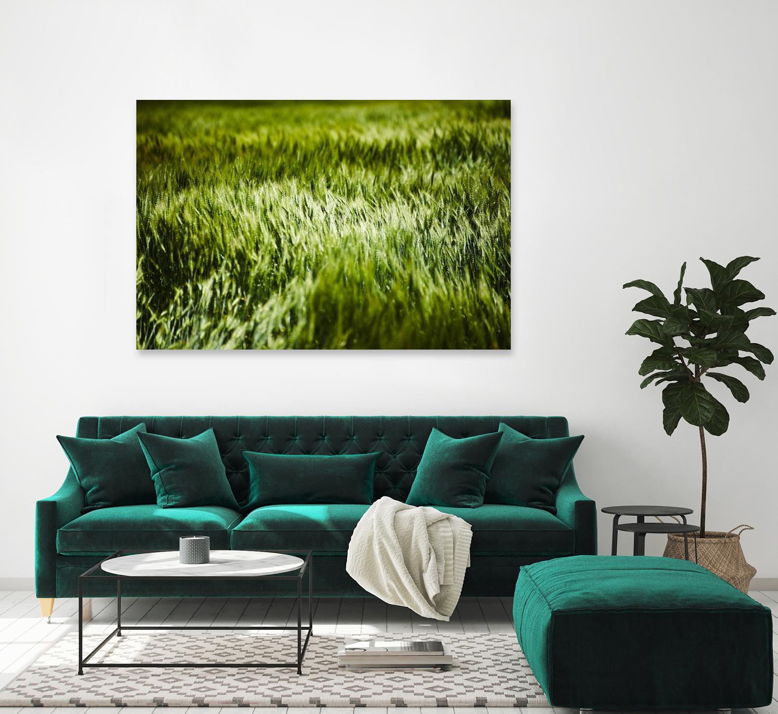 Grass IV by Peter Morneau on GIANT ART - green photo art