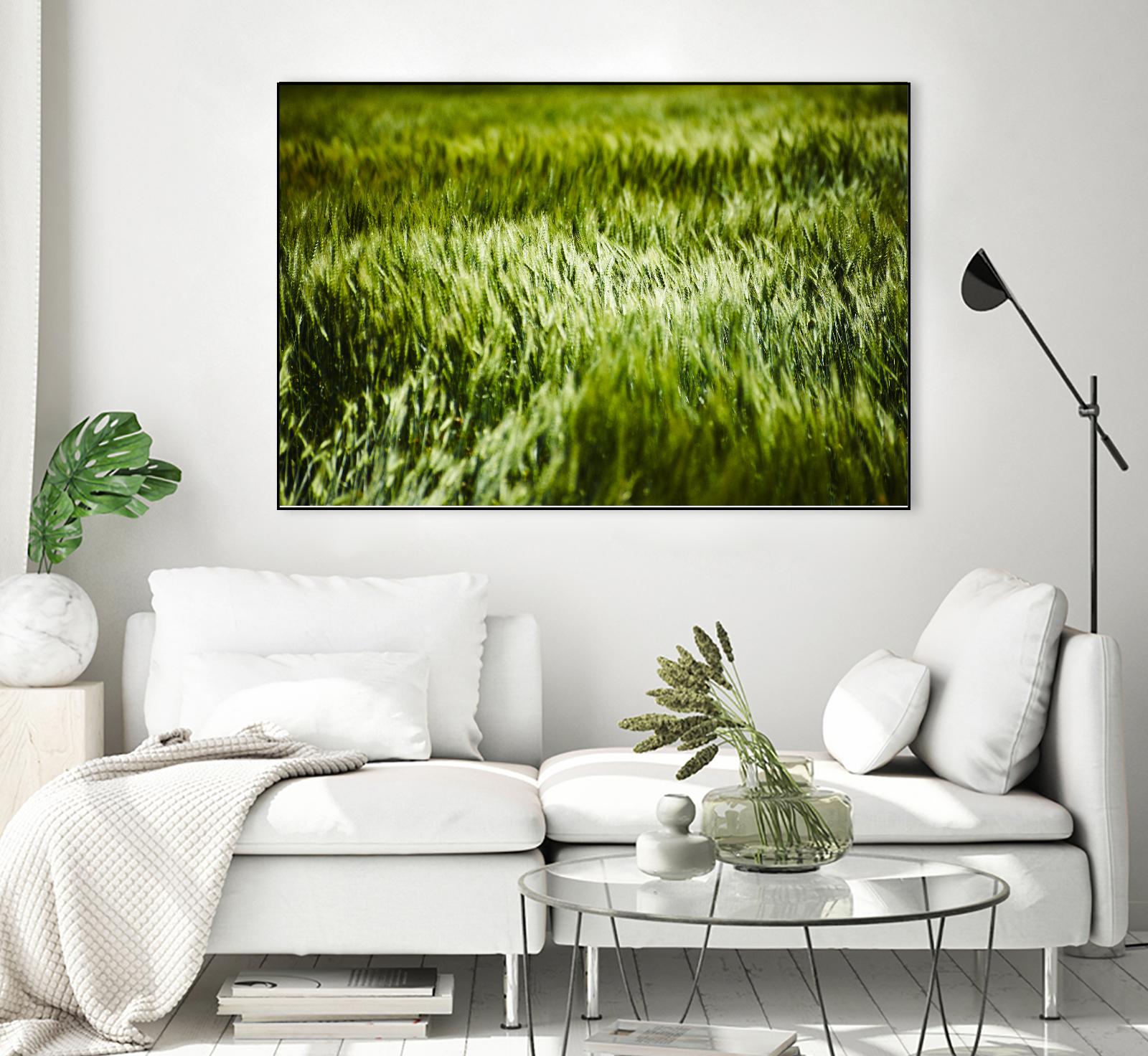 Grass IV by Peter Morneau on GIANT ART - green photo art
