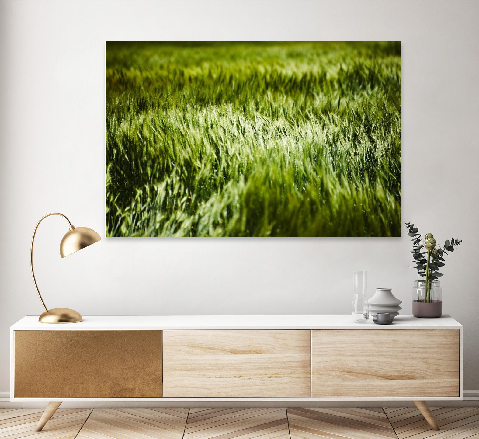 Grass IV by Peter Morneau on GIANT ART - green photo art