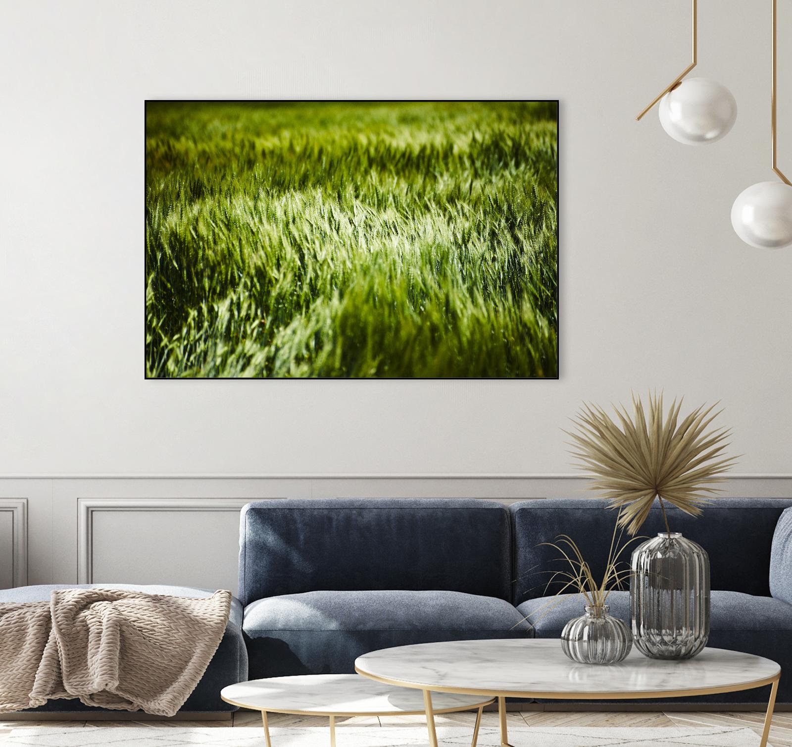 Grass IV by Peter Morneau on GIANT ART - green photo art