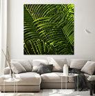 Leaves III by Peter Morneau on GIANT ART - green photo art