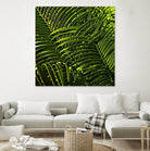 Leaves III by Peter Morneau on GIANT ART - green photo art