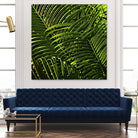 Leaves III by Peter Morneau on GIANT ART - green photo art