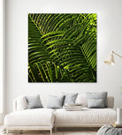 Leaves III by Peter Morneau on GIANT ART - green photo art