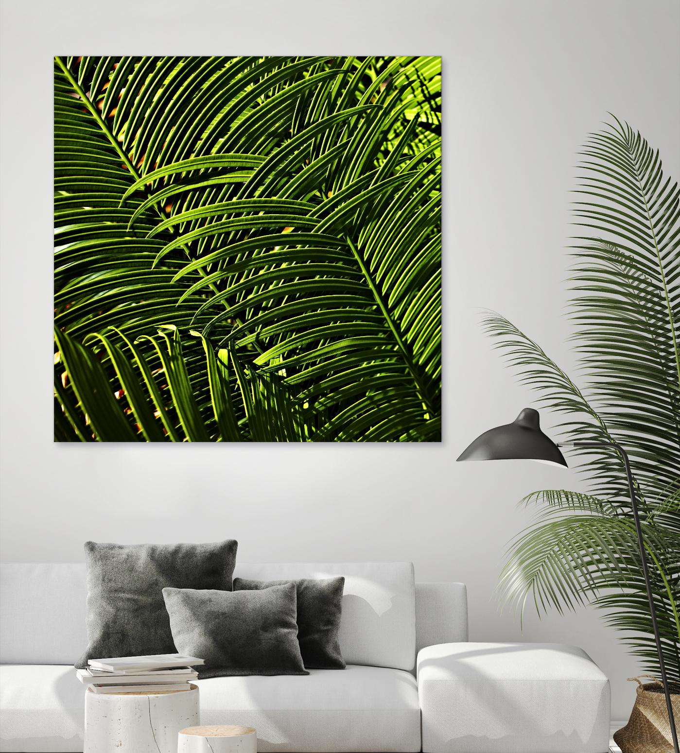 Leaves III by Peter Morneau on GIANT ART - green photo art