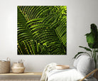 Leaves III by Peter Morneau on GIANT ART - green photo art