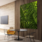 Leaves III by Peter Morneau on GIANT ART - green photo art