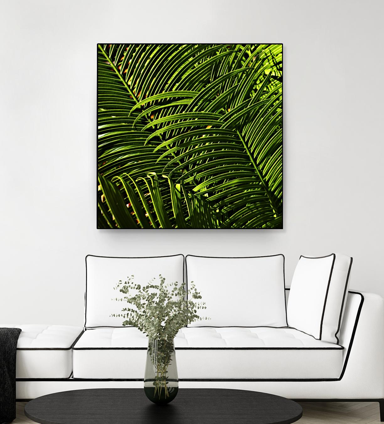 Leaves III by Peter Morneau on GIANT ART - green photo art