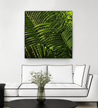 Leaves III by Peter Morneau on GIANT ART - green photo art