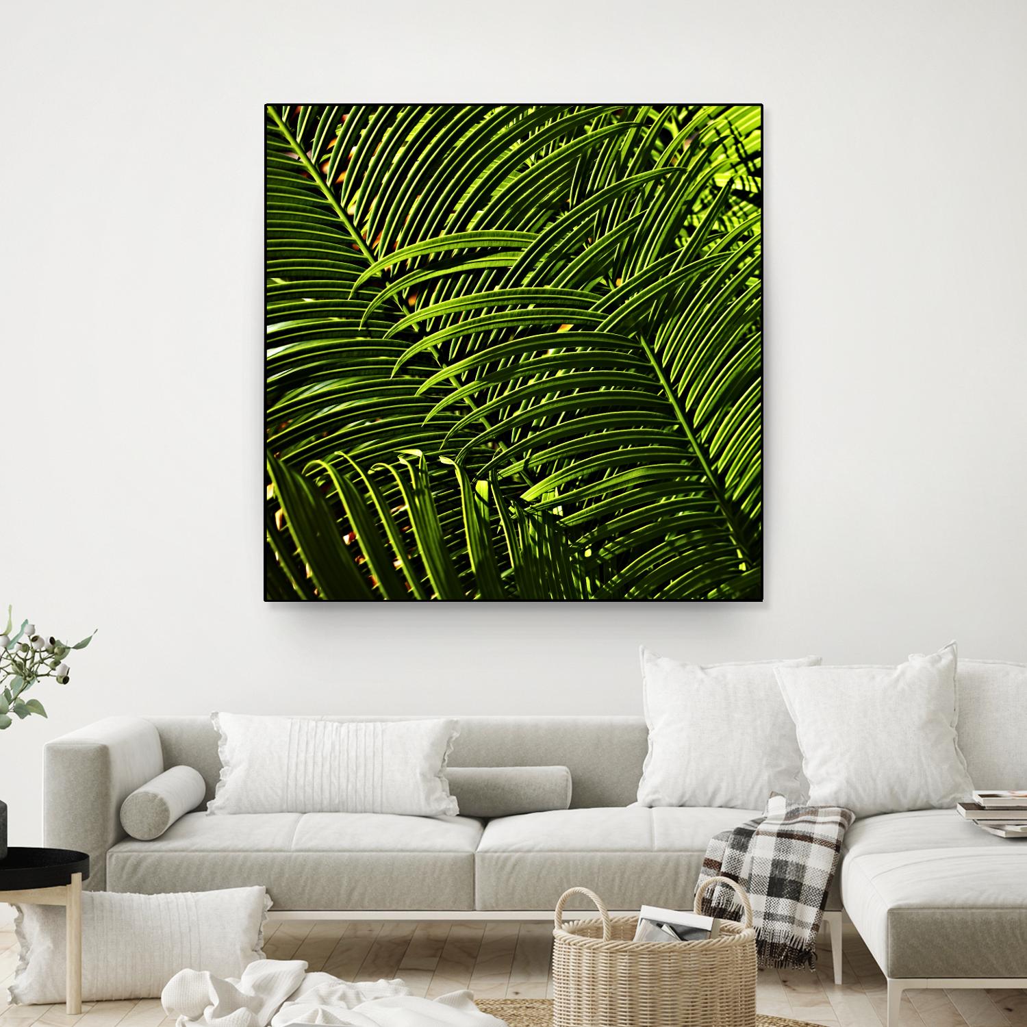 Leaves III by Peter Morneau on GIANT ART - green photo art