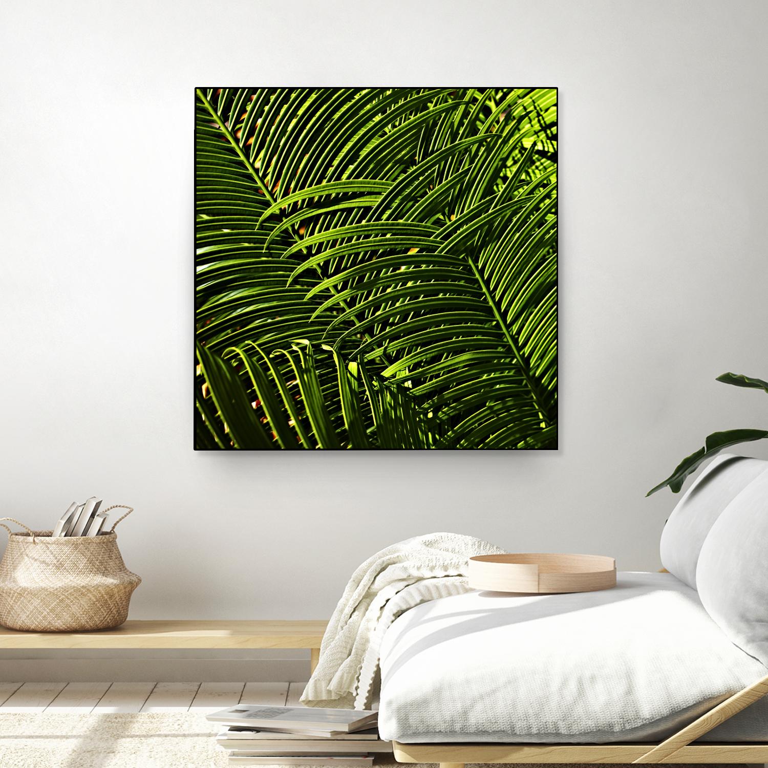 Leaves III by Peter Morneau on GIANT ART - green photo art