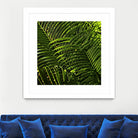 Leaves III by Peter Morneau on GIANT ART - green photo art