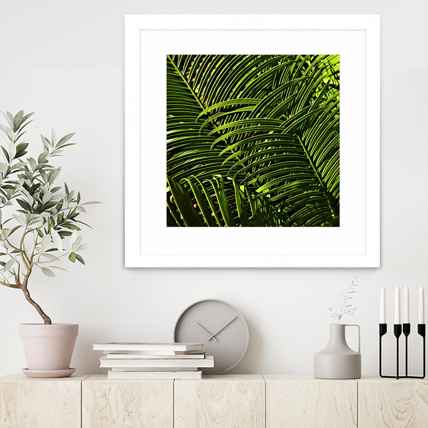 Leaves III by Peter Morneau on GIANT ART - green photo art