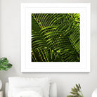 Leaves III by Peter Morneau on GIANT ART - green photo art