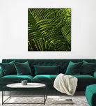 Leaves III by Peter Morneau on GIANT ART - green photo art