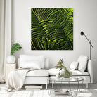 Leaves III by Peter Morneau on GIANT ART - green photo art