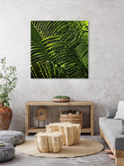Leaves III by Peter Morneau on GIANT ART - green photo art