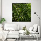 Leaves III by Peter Morneau on GIANT ART - green photo art