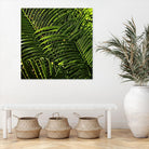 Leaves III by Peter Morneau on GIANT ART - green photo art