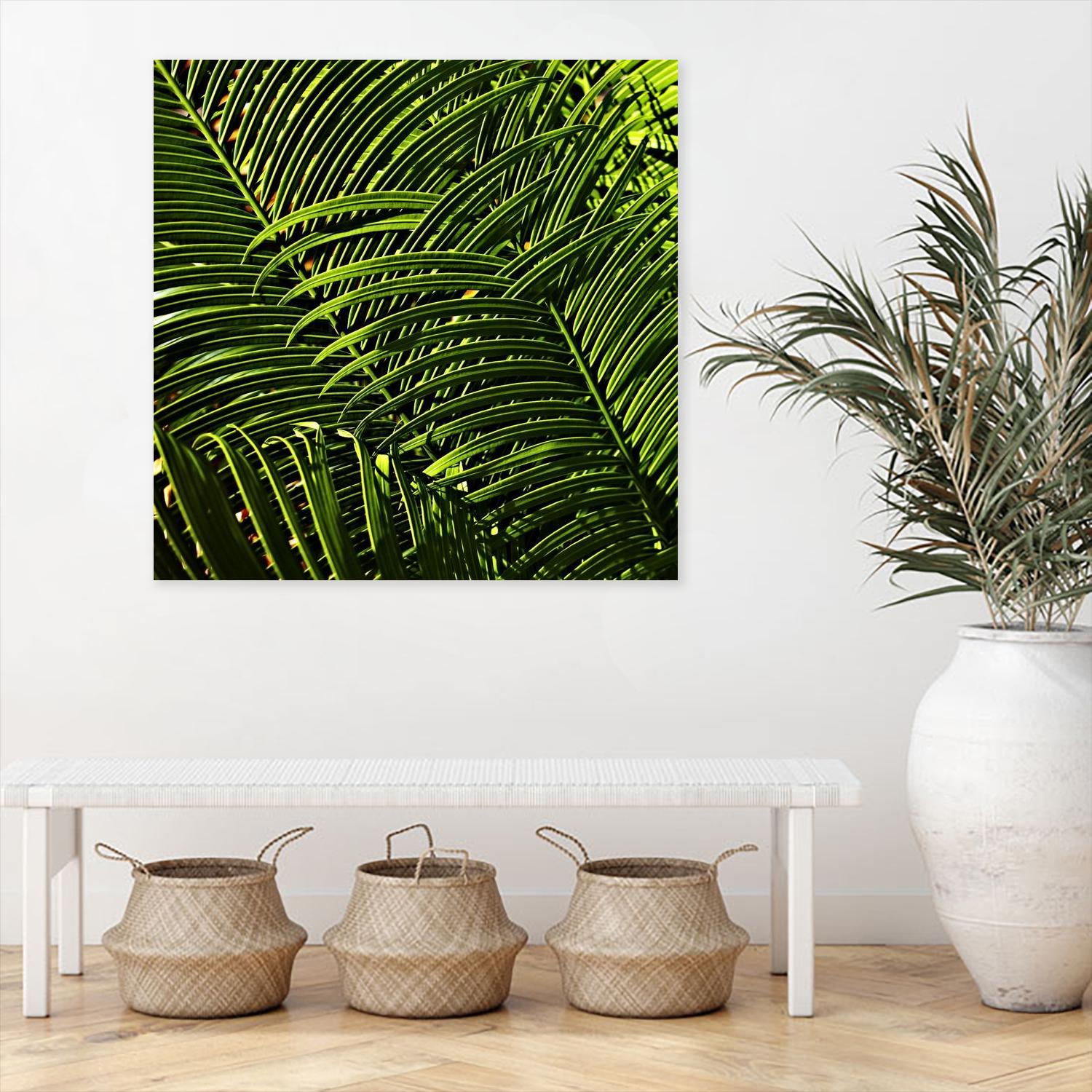 Leaves III by Peter Morneau on GIANT ART - green photo art