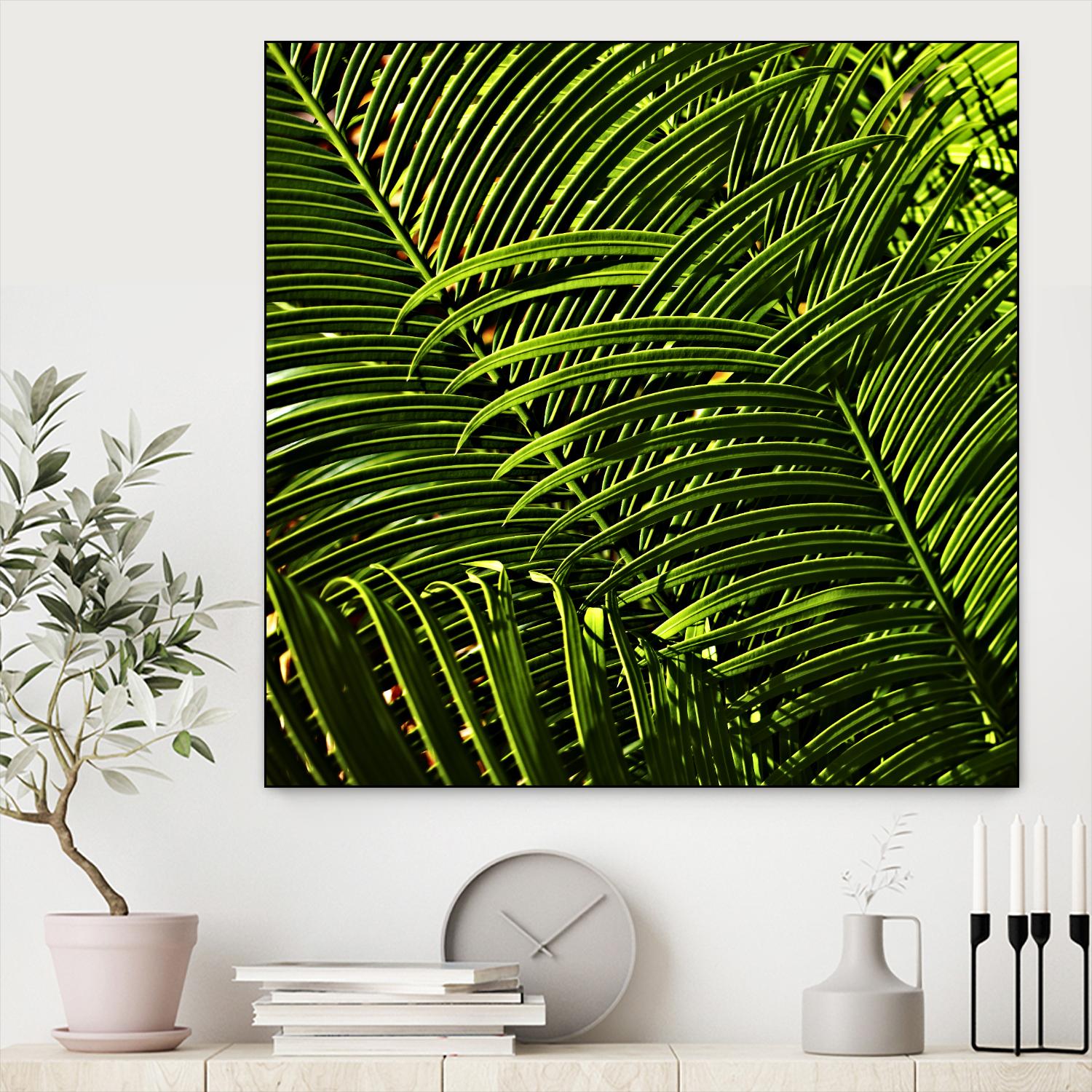 Leaves III by Peter Morneau on GIANT ART - green photo art