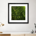 Leaves III by Peter Morneau on GIANT ART - green photo art