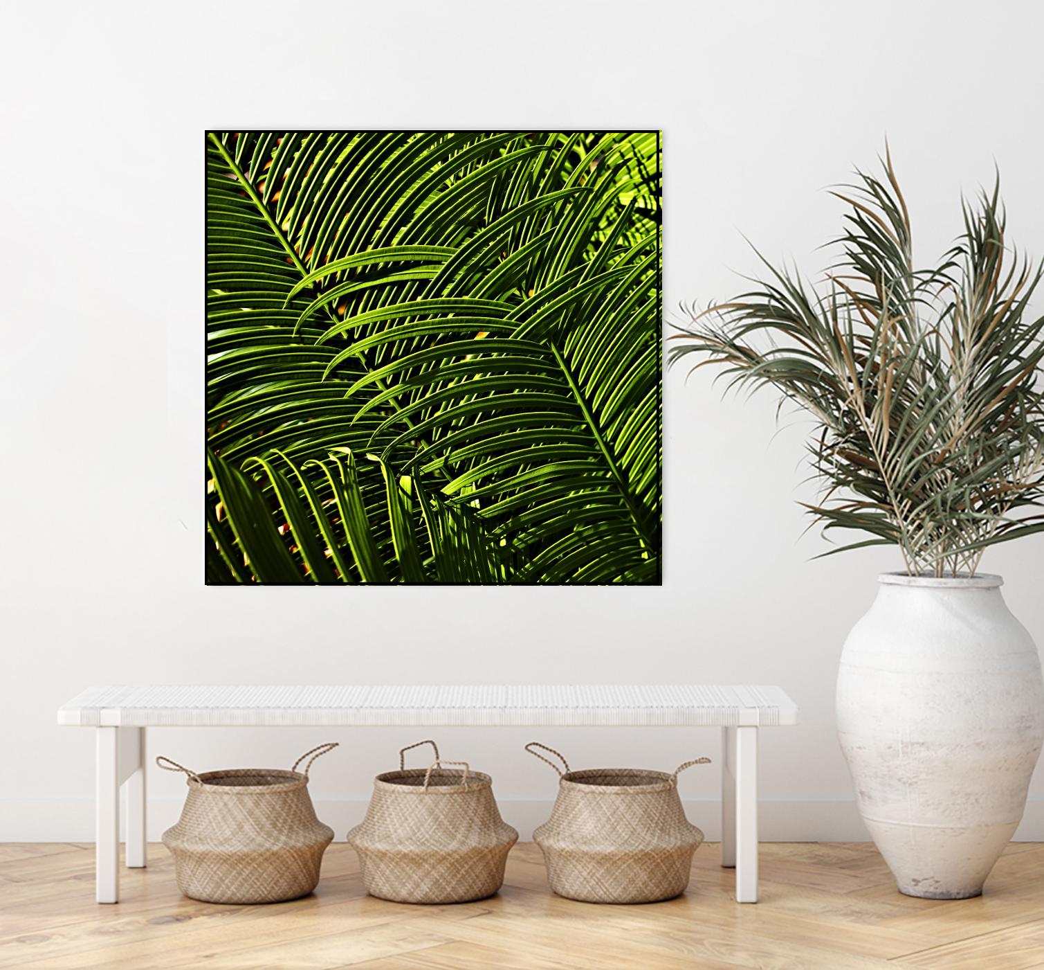 Leaves III by Peter Morneau on GIANT ART - green photo art