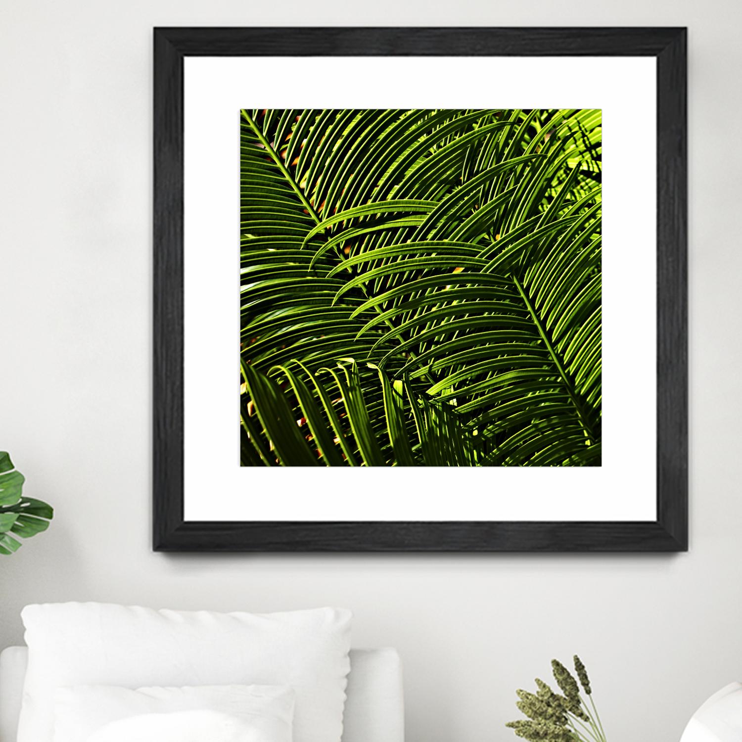 Leaves III by Peter Morneau on GIANT ART - green photo art