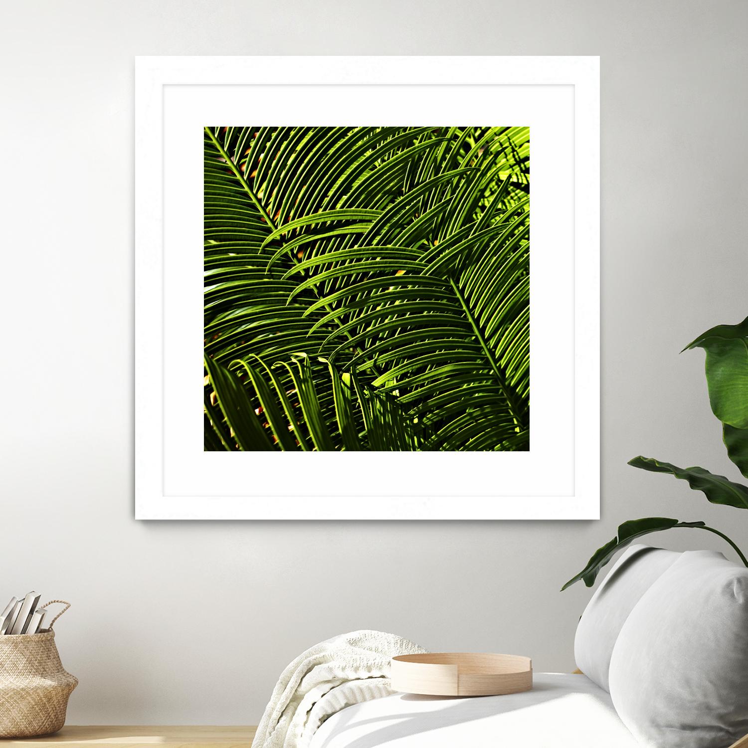 Leaves III by Peter Morneau on GIANT ART - green photo art