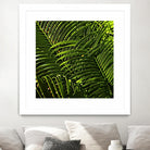 Leaves III by Peter Morneau on GIANT ART - green photo art