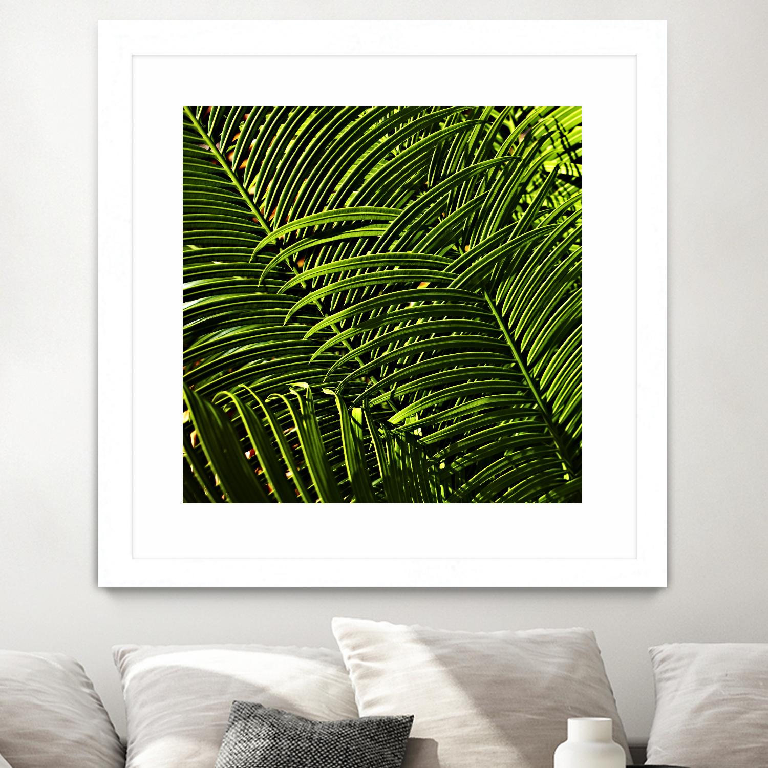 Leaves III by Peter Morneau on GIANT ART - green photo art