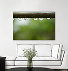 Drops of water II by Peter Morneau on GIANT ART - brown photo art