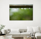 Drops of water II by Peter Morneau on GIANT ART - brown photo art