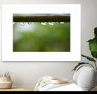 Drops of water II by Peter Morneau on GIANT ART - brown photo art