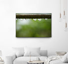 Drops of water II by Peter Morneau on GIANT ART - brown photo art