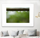 Drops of water II by Peter Morneau on GIANT ART - brown photo art