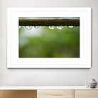 Drops of water II by Peter Morneau on GIANT ART - brown photo art