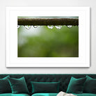 Drops of water II by Peter Morneau on GIANT ART - brown photo art