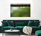 Drops of water II by Peter Morneau on GIANT ART - brown photo art