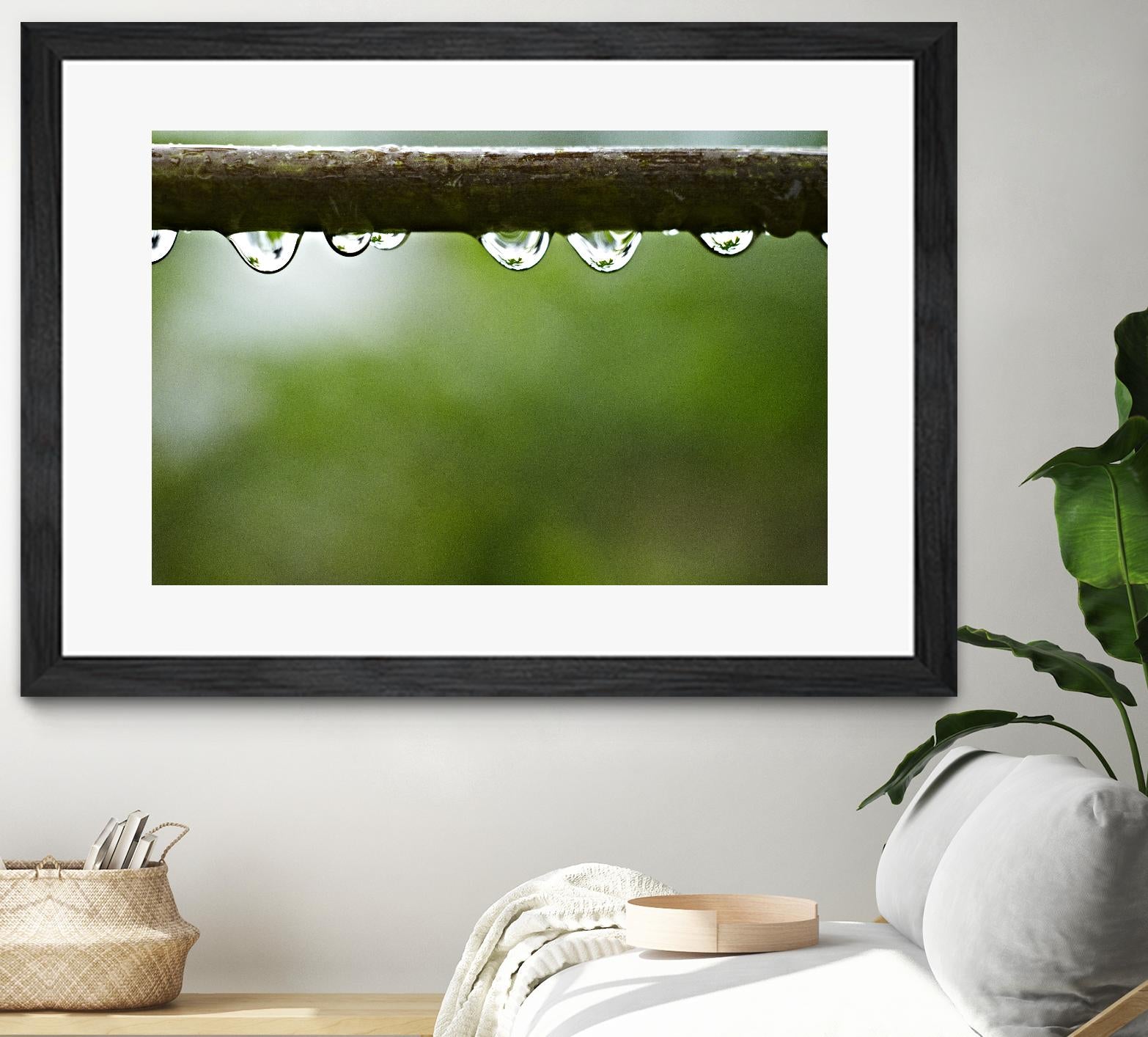 Drops of water II by Peter Morneau on GIANT ART - brown photo art