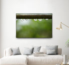 Drops of water II by Peter Morneau on GIANT ART - brown photo art