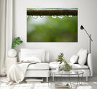 Drops of water II by Peter Morneau on GIANT ART - brown photo art