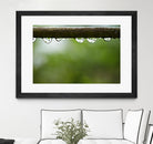Drops of water II by Peter Morneau on GIANT ART - brown photo art