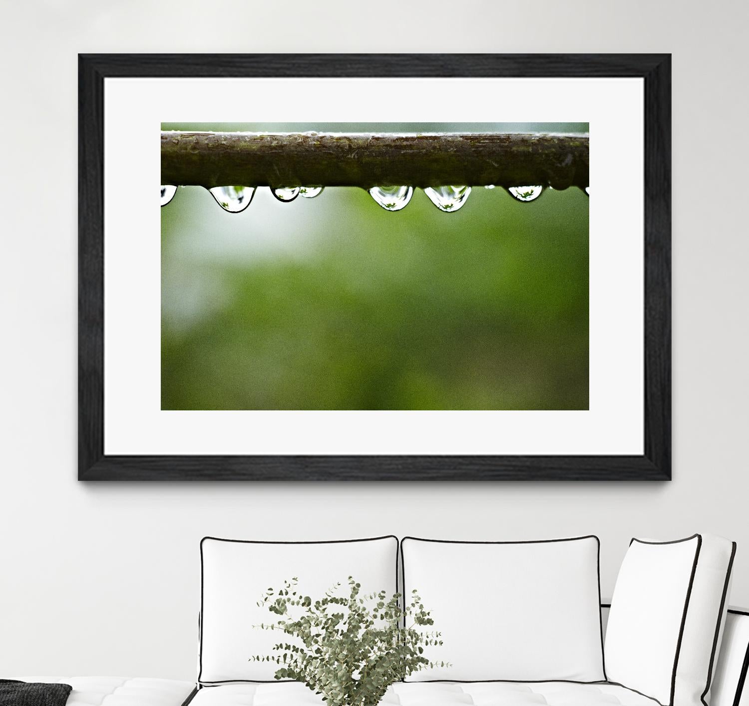 Drops of water II by Peter Morneau on GIANT ART - brown photo art