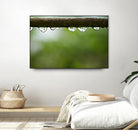 Drops of water II by Peter Morneau on GIANT ART - brown photo art