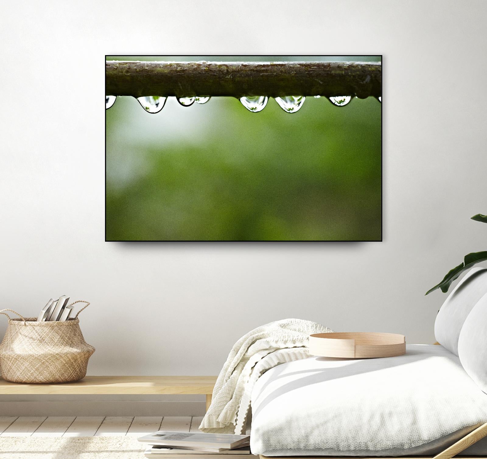 Drops of water II by Peter Morneau on GIANT ART - brown photo art