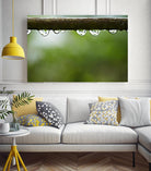 Drops of water II by Peter Morneau on GIANT ART - brown photo art