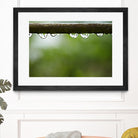 Drops of water II by Peter Morneau on GIANT ART - brown photo art