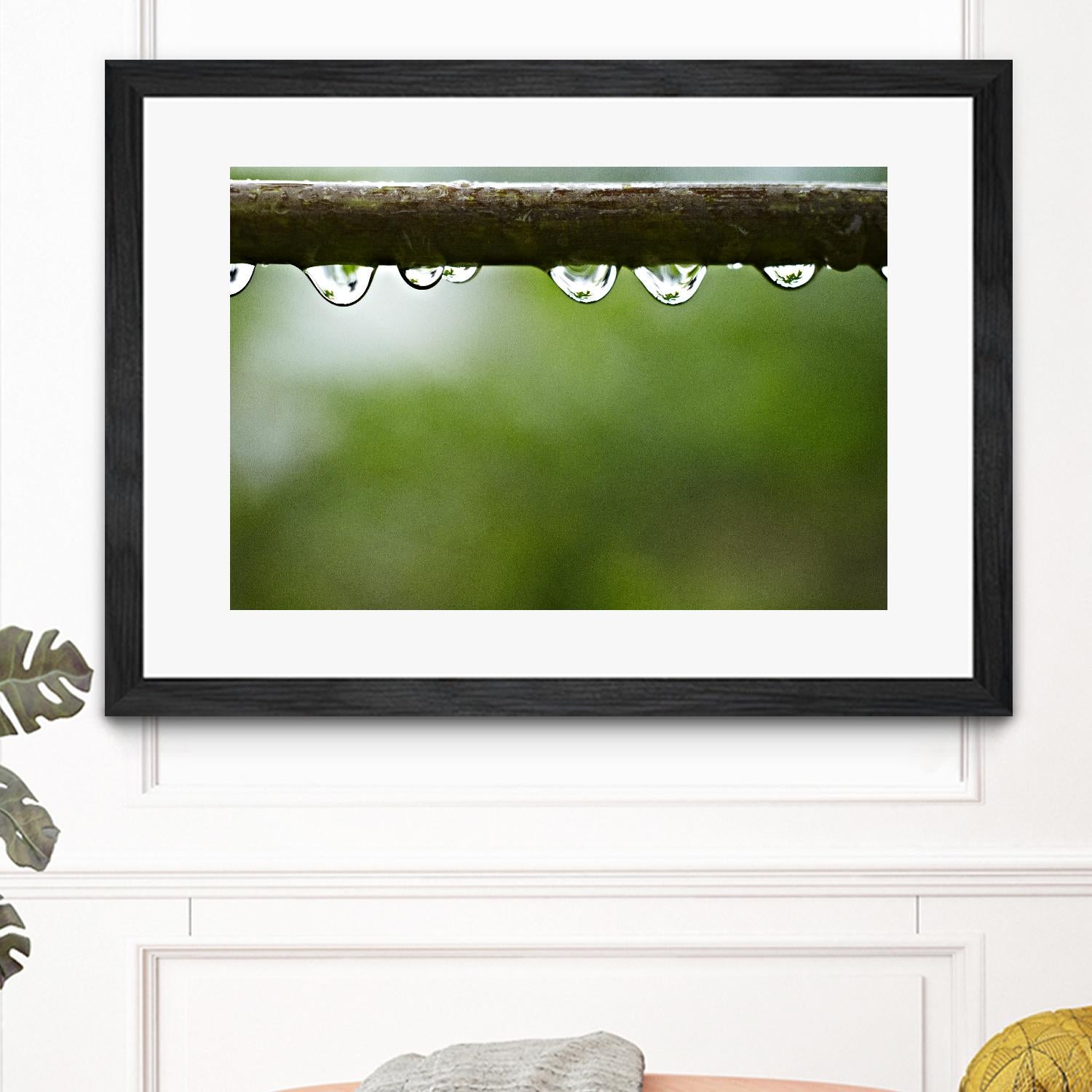 Drops of water II by Peter Morneau on GIANT ART - brown photo art